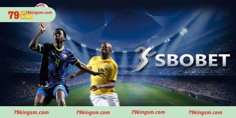 Chính sách hoa hồng dành cho đại lý Sbobet 79king